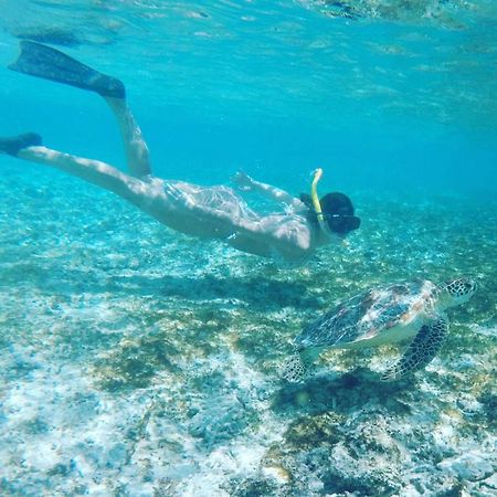 Tropical House Bungalows ギリ・トラワンガン エクステリア 写真